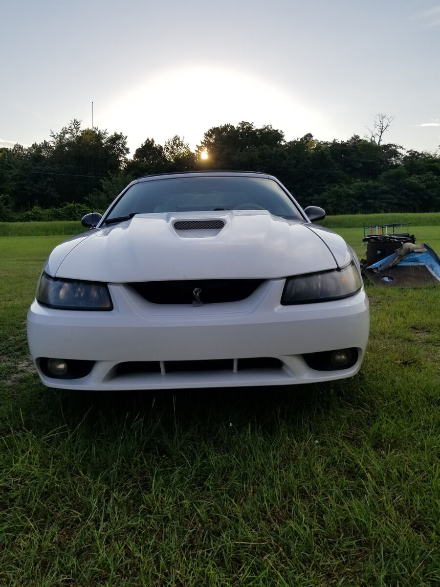 1999-2004 Ford Mustang Cobra R Fiberglass Heat Extractor Hood