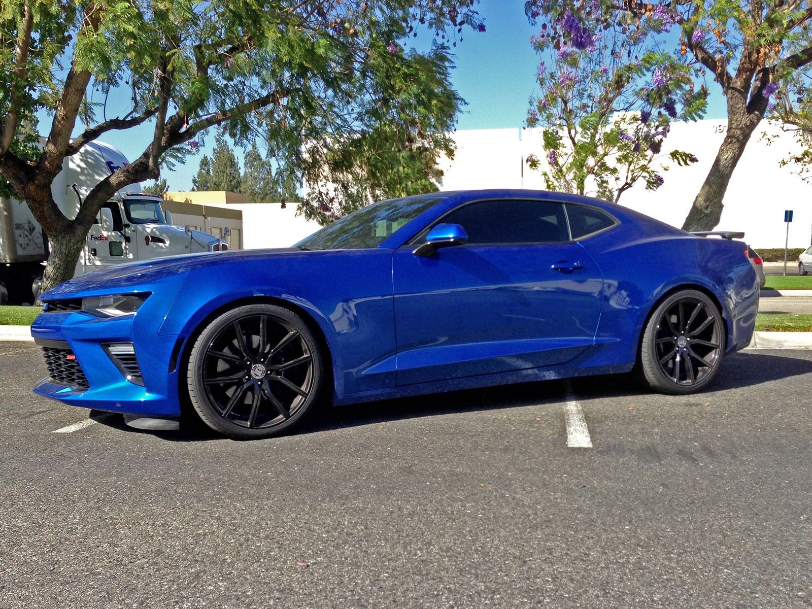 2016-2024 Chevrolet Camaro V6 3.6L aFe Control Lowering Springs