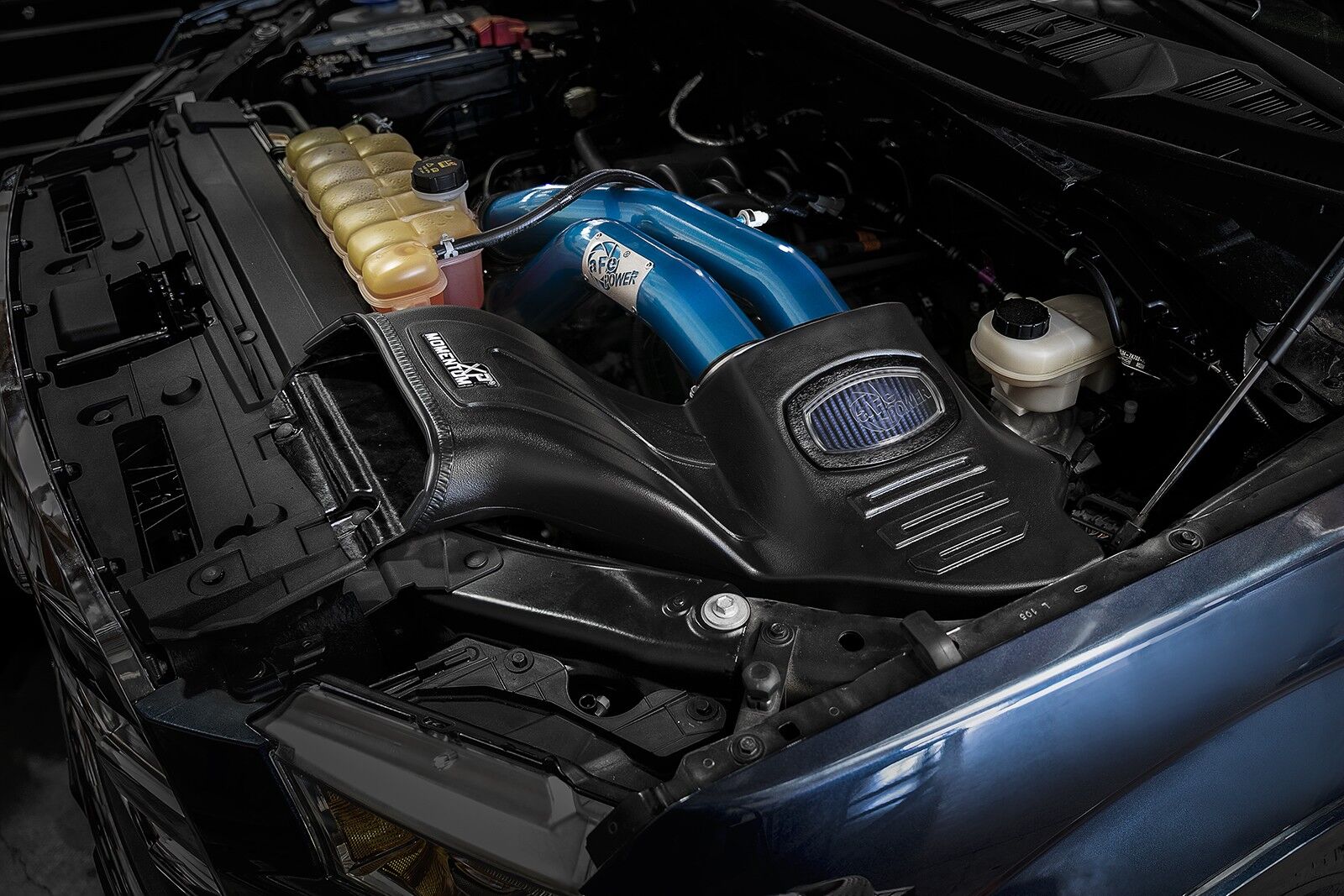2015-2019 Ford F-150 V8 5.0L Momentum XP Cold Air Intake System - Blue w/Pro 5R Filter Media