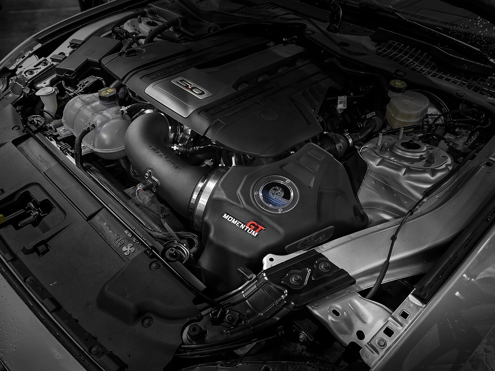 2018-2019 Ford Mustang GT V8 5.0L Momentum GT Cold Air Intake System w/Pro 5R Filter