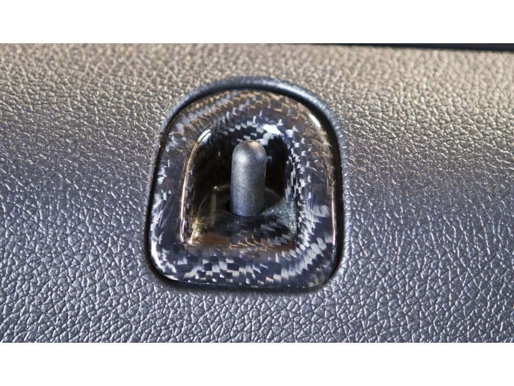 2005-2014 Ford Mustang Carbon Fiber OEM Door Lock Inserts - Pair - TC010-LG83
