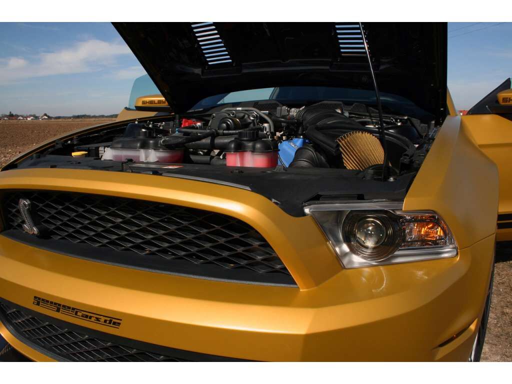 2010-2014 Ford Mustang GT500 Venom Dual-Functional Ram Air Carbon Fiber Hood