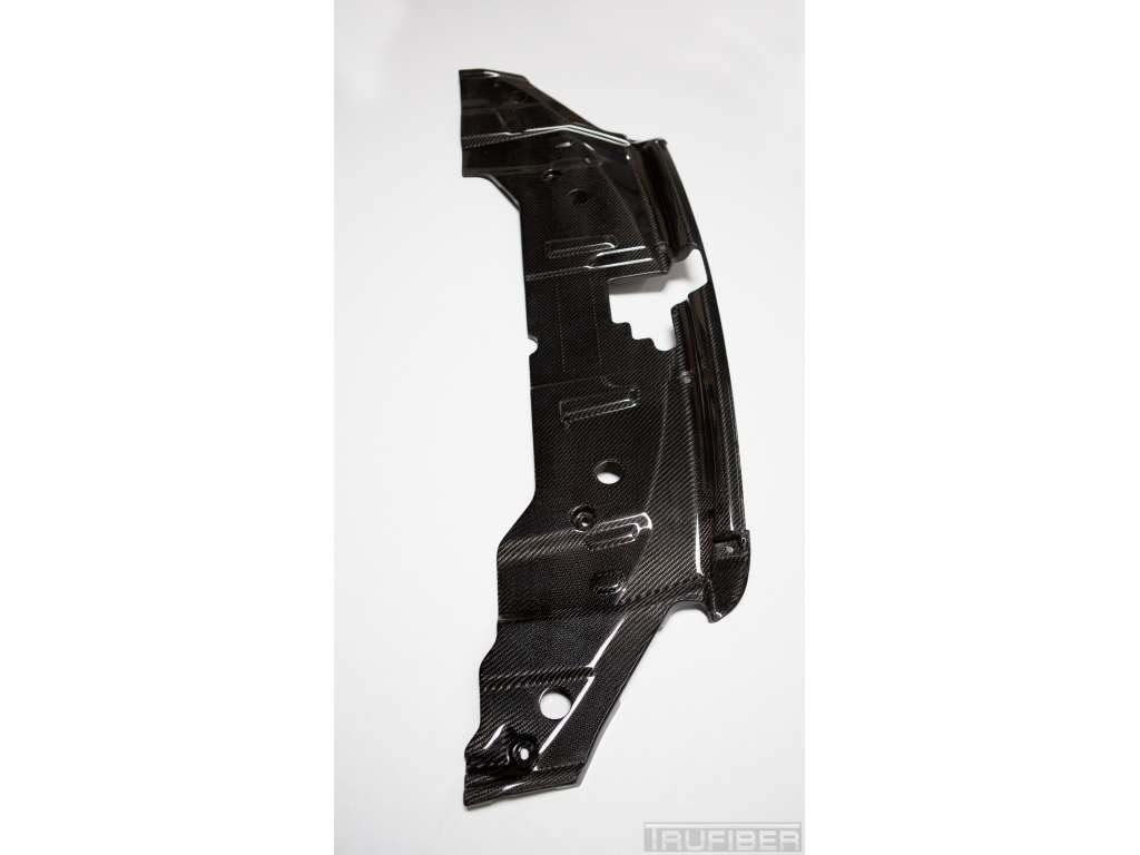 2013-2014 Ford Mustang Carbon Fiber OEM Radiator Cover