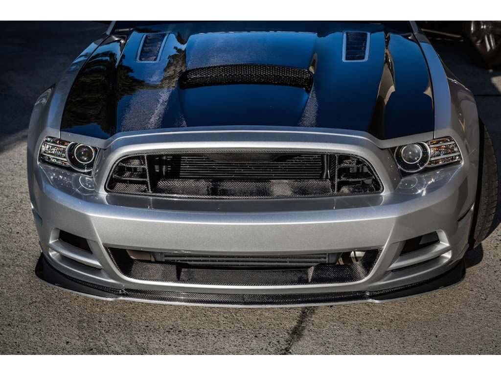 2013-2014 Ford Mustang GT Carbon Fiber Front Bumper Lower Insert