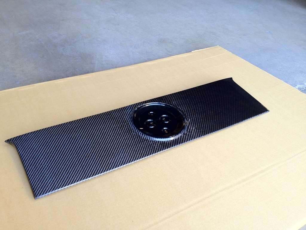 2010-2014 Ford Mustang Carbon Fiber Blackout Panel w/Hole