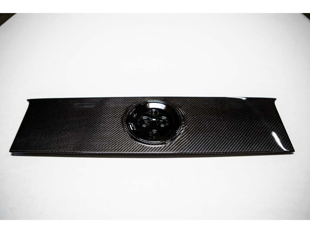 2010-2014 Ford Mustang Carbon Fiber Blackout Panel w/Hole