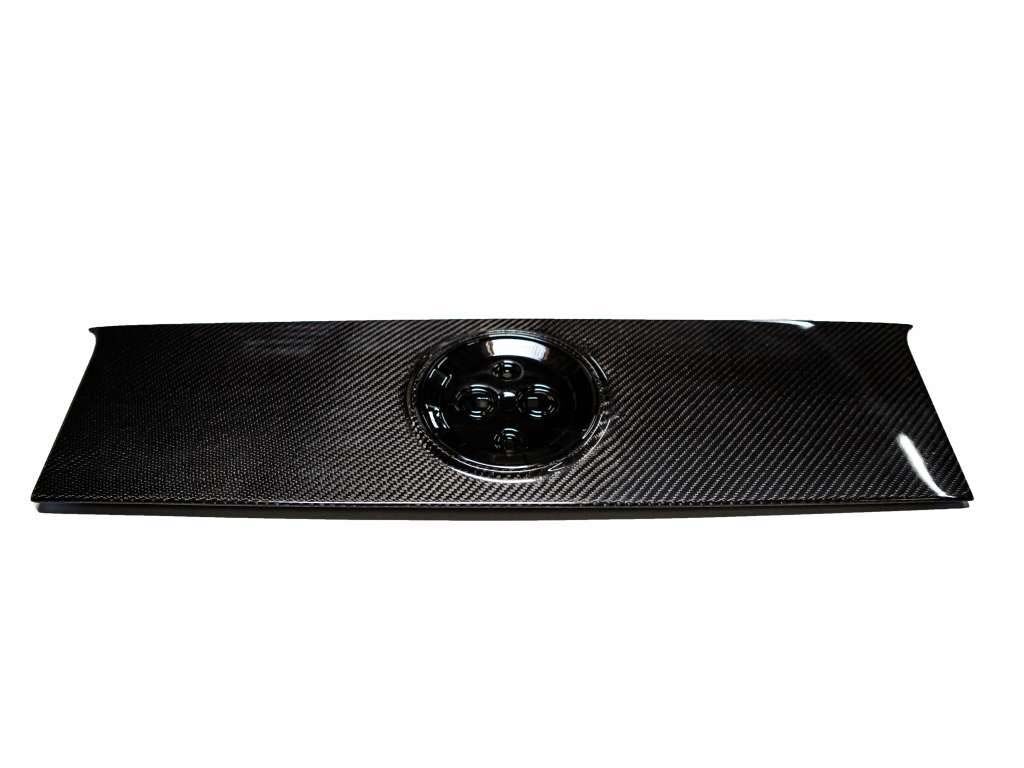 2010-2012 Ford Mustang Carbon Fiber Blackout Panel w/Hole - TC10025-LG42