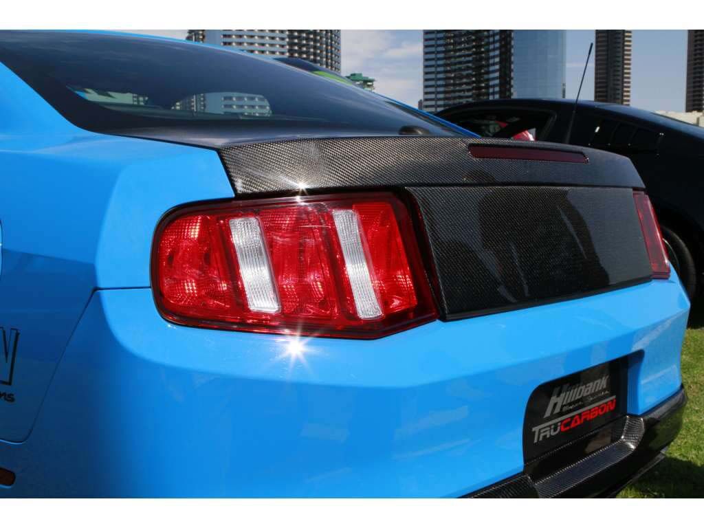 2010-2014 Ford Mustang Carbon Fiber Blackout Panel w/o Hole