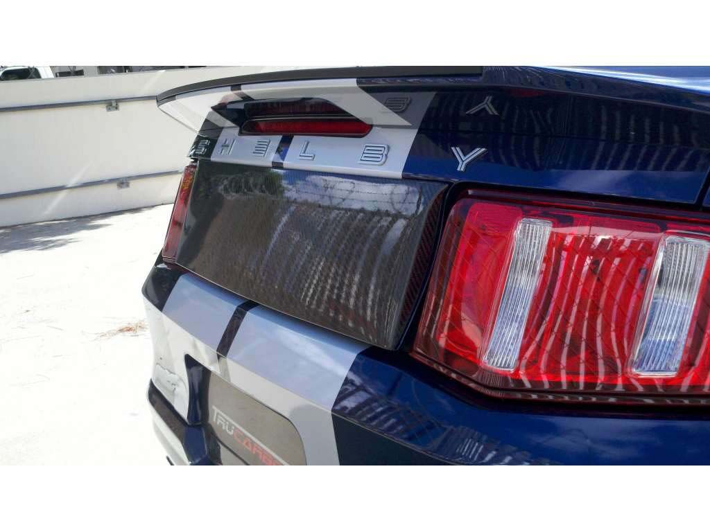 2010-2014 Ford Mustang Carbon Fiber Blackout Panel w/o Hole