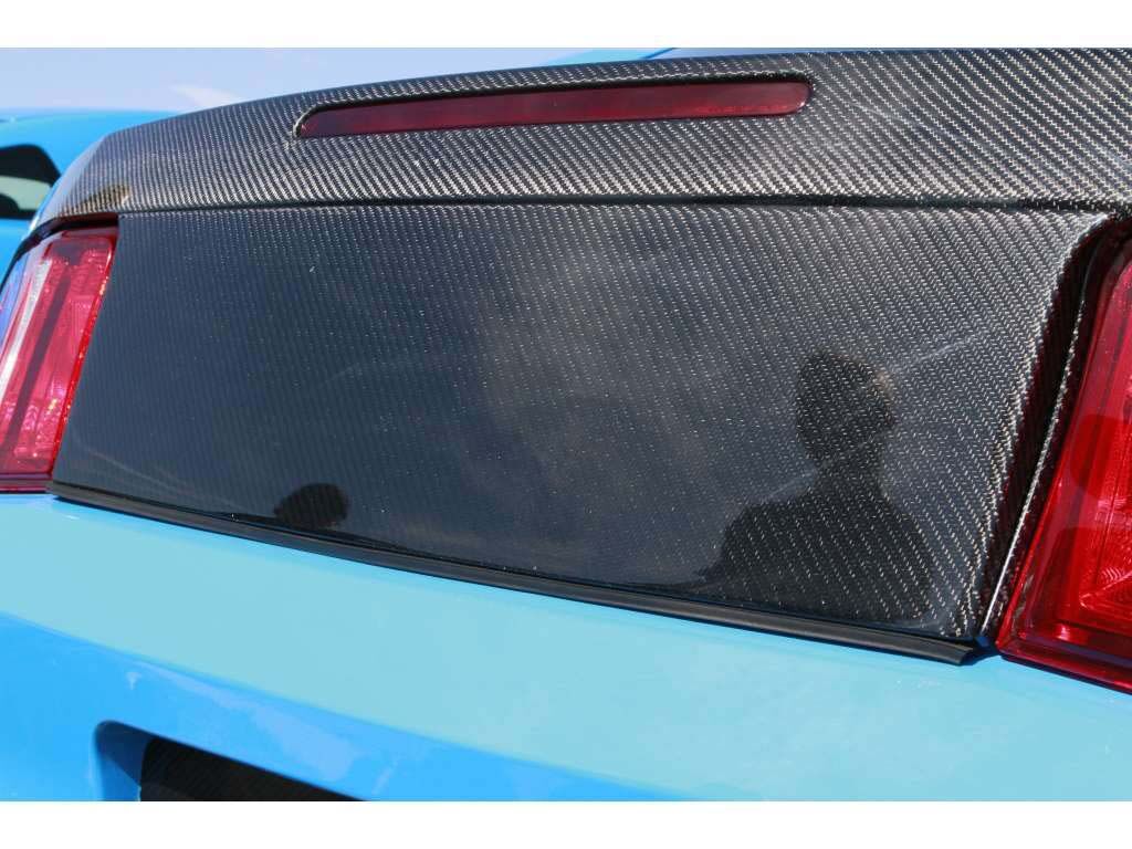 2010-2014 Ford Mustang Carbon Fiber Blackout Panel w/o Hole