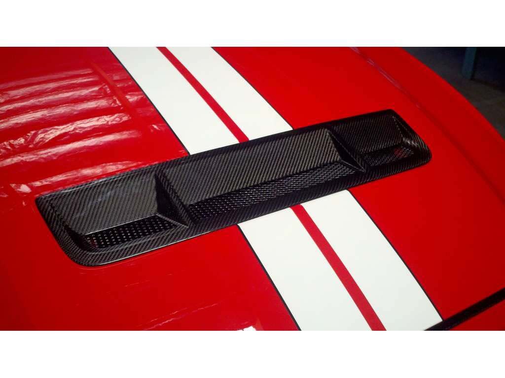 2010-2014 Ford Mustang GT500 Carbon Fiber OEM OEM Style Grille Insert