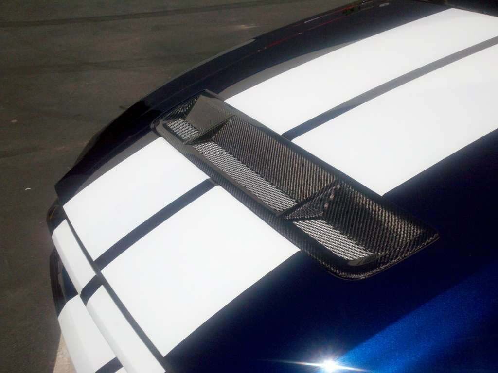2010-2014 Ford Mustang GT500 Carbon Fiber OEM OEM Style Grille Insert