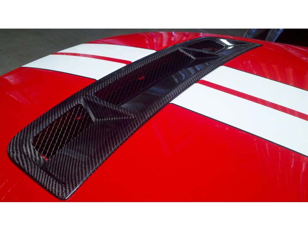 2010-2014 Ford Mustang GT500 Carbon Fiber OEM OEM Style Grille Insert