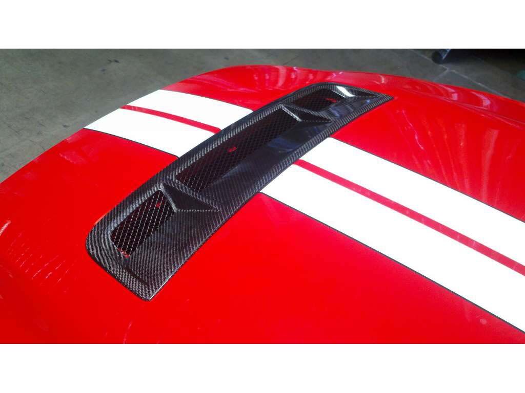 2010-2014 Ford Mustang GT500 Carbon Fiber OEM OEM Style Grille Insert - TC10025-