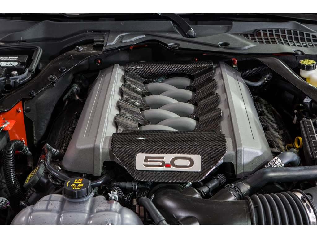2015-2017 Ford Mustang GT 5.0L Carbon Fiber OEM Engine Cover Insert