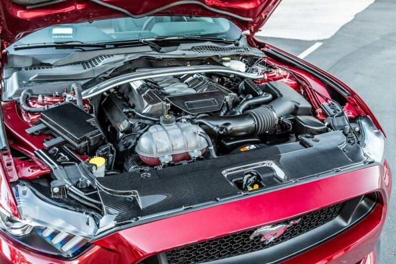 2015-2017 Ford Mustang GT 5.0L Carbon Fiber Radiator Cover