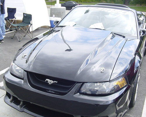 1999-2004 Ford Mustang 3" Cowl Induction Fiberglass Heat Extractor Hood