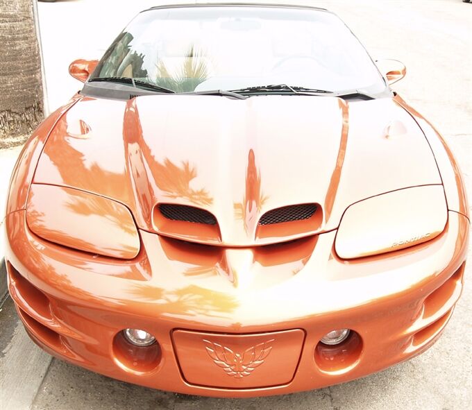 1998-2002 Pontiac Firebird/Trans AM WS-9 Fiberglass Ram Air Hood