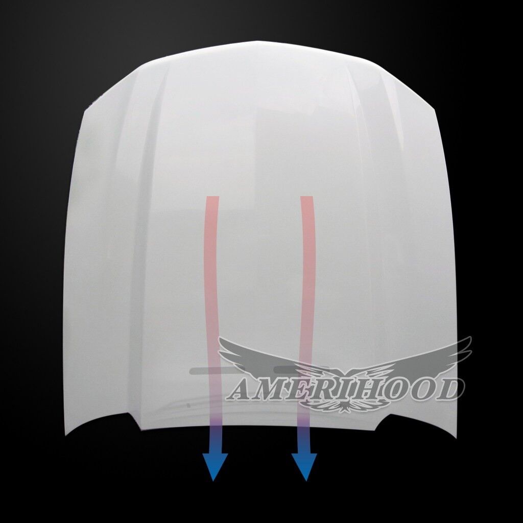 2010-2012 Ford Mustang V6/GT Amerihood 3" Cowl Functional Heat Extractor Fiberglass Hood
