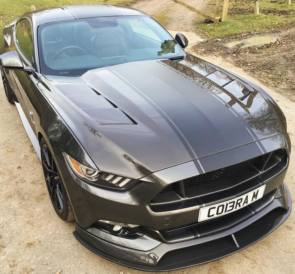 2015-2017 Ford Mustang Heat Extractor Double-Sided Carbon Fiber Hood by Anderson Composites