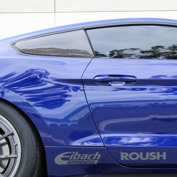 2015-2023 Ford Mustang Type -F Carbon Fiber Louvers Flat by Anderson Composites