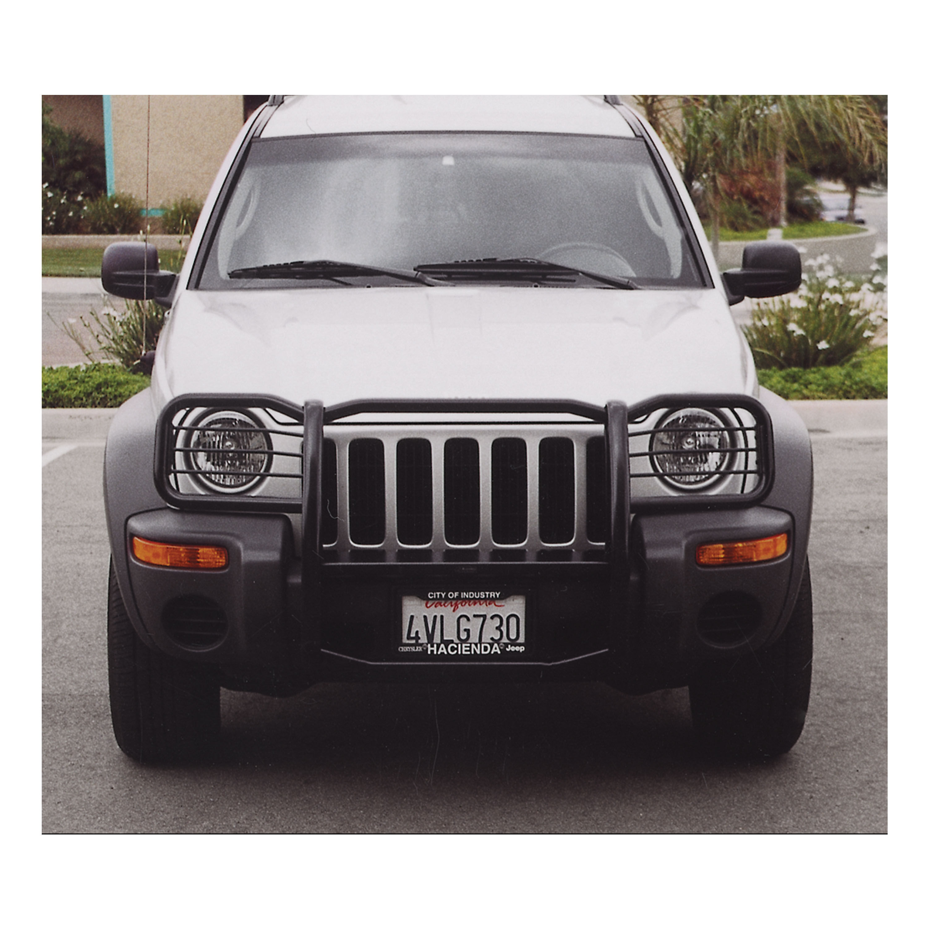 2002-2004 Jeep Liberty Aries Black Grille Guard EXCLUDING RENEGADE