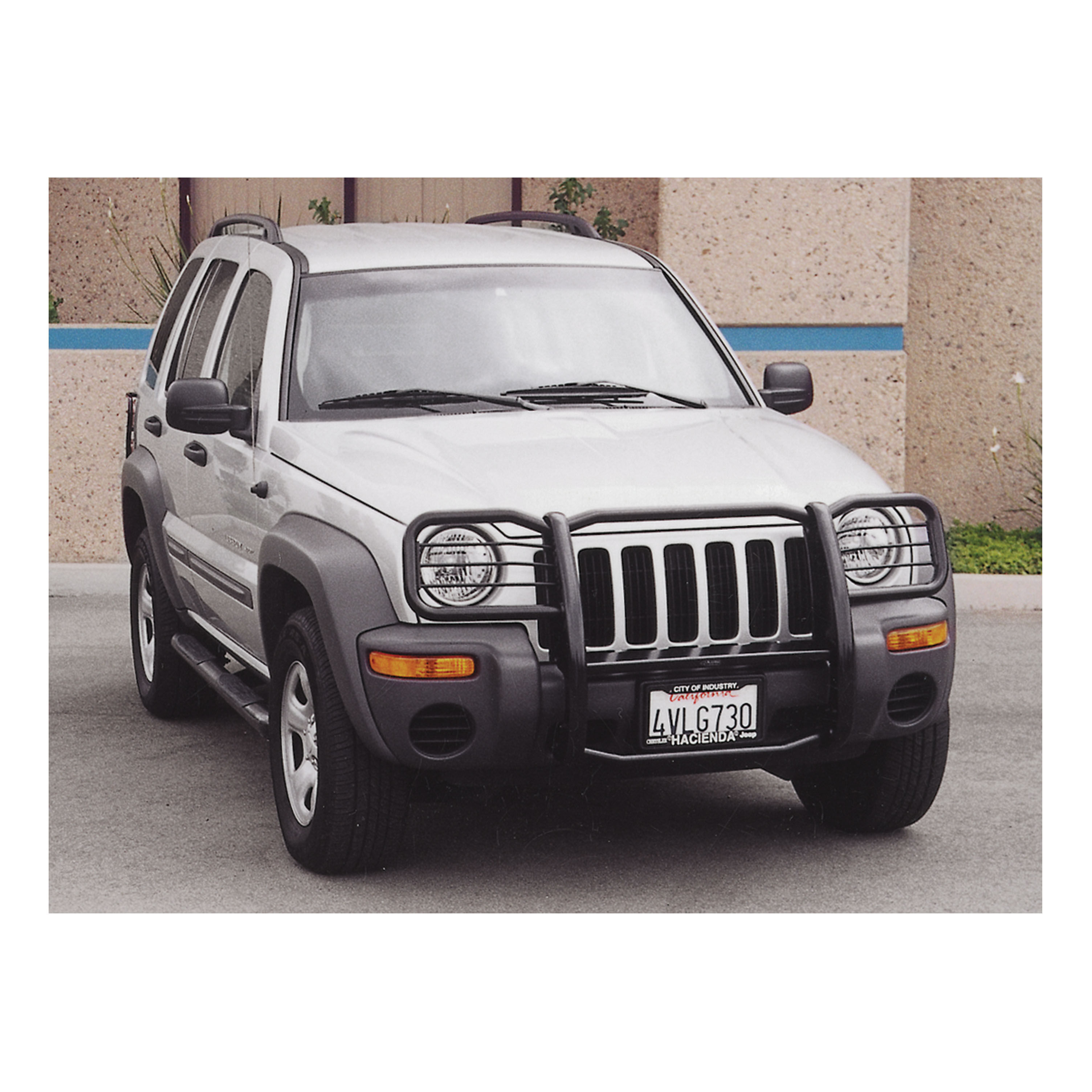 2002-2004 Jeep Liberty Aries Black Grille Guard EXCLUDING RENEGADE