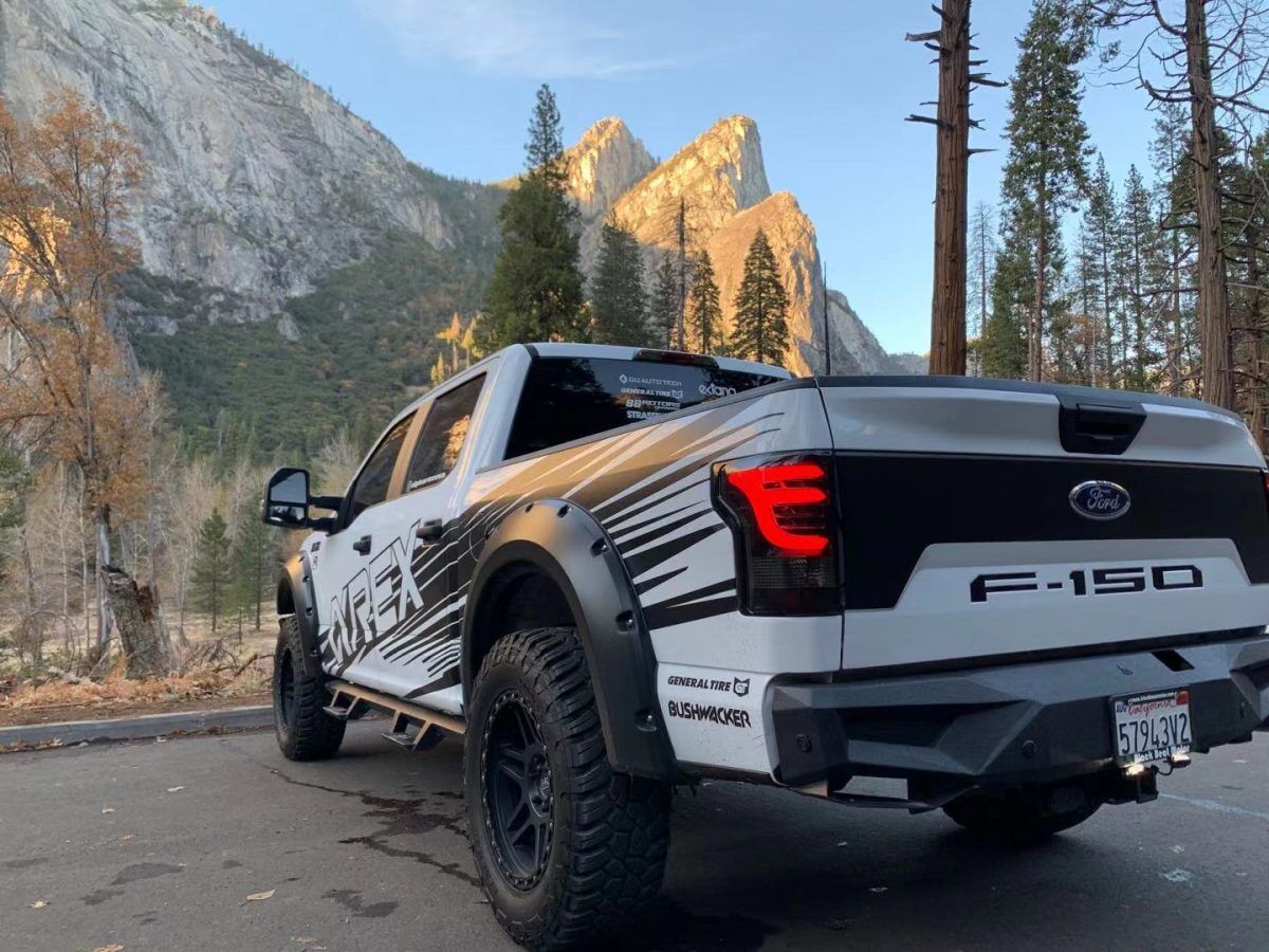 15-20 Ford F-150 PRO-Series LED Tail Lights Jet Black by AlphaRex