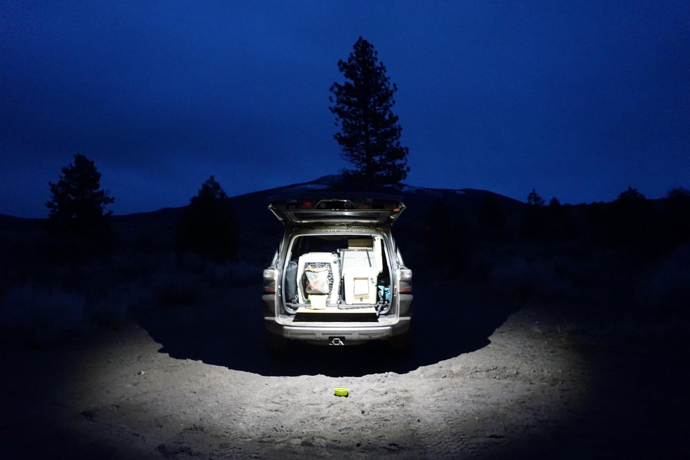 LED Dome Light w/Switch Clear by Baja Designs