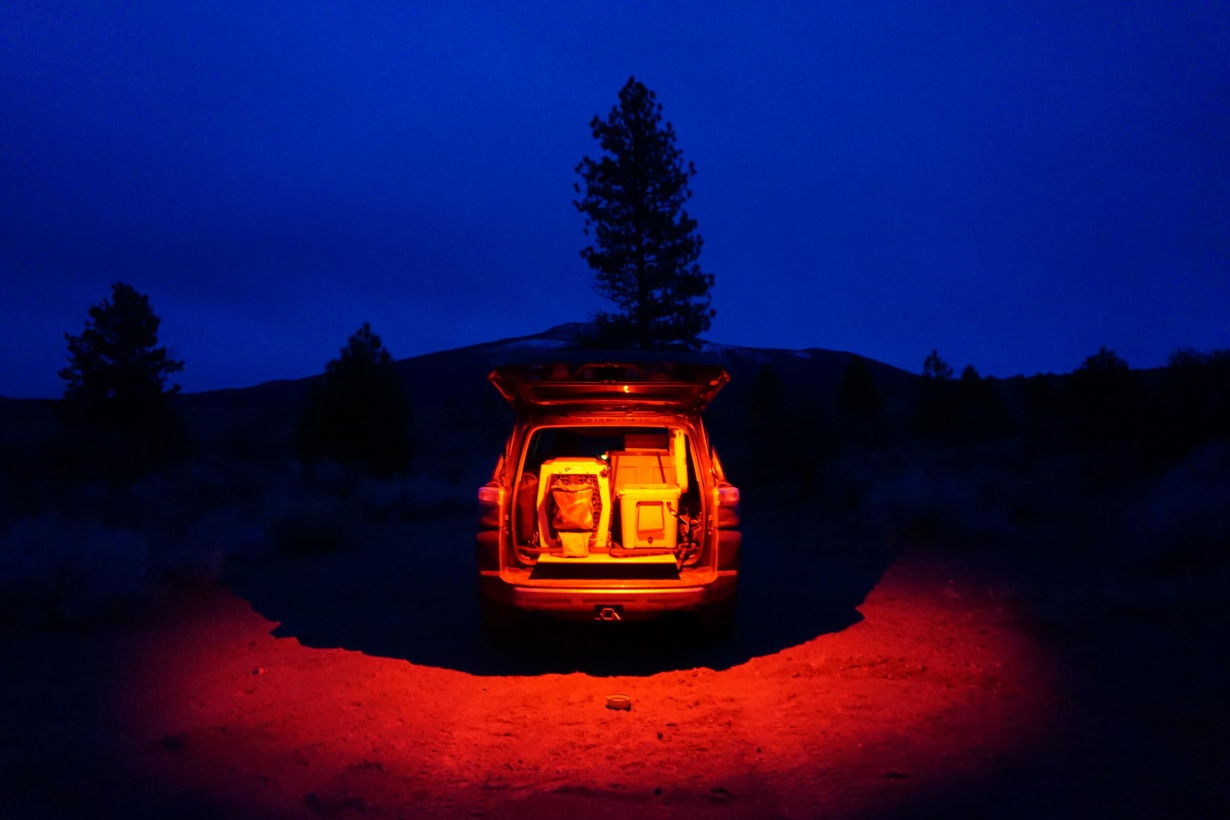 LED Dome Light w/Switch Red by Baja Designs