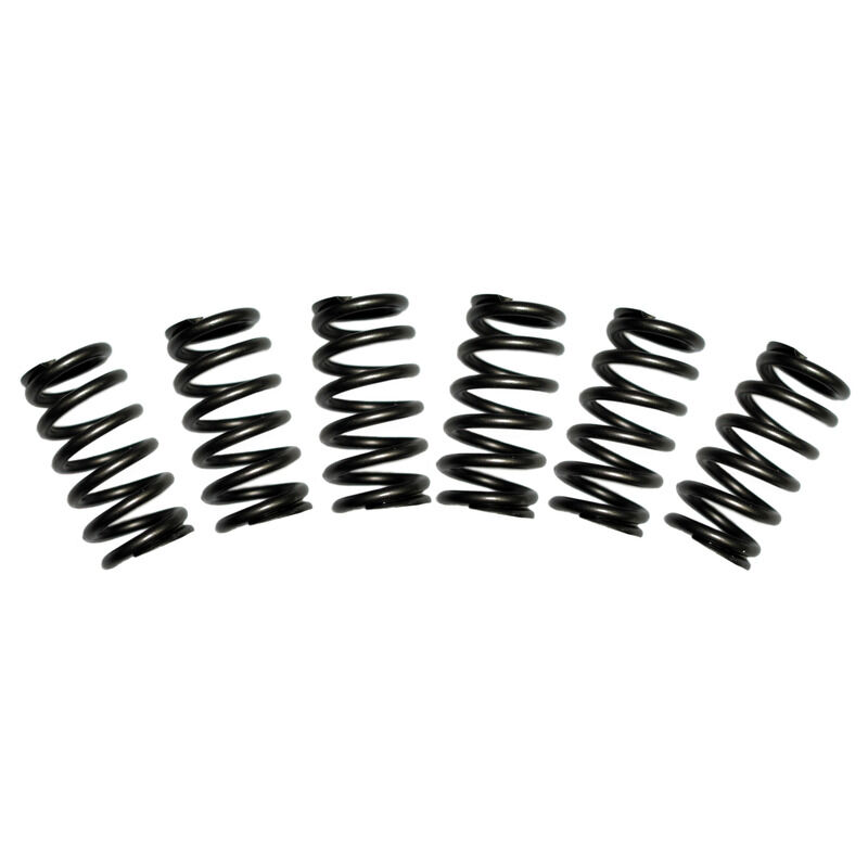 5.9L Cummins Valve Spring Kit 60lbs Dodge 1988-1998 12-Valve Set of 6 by BD Diesel - 1030060
