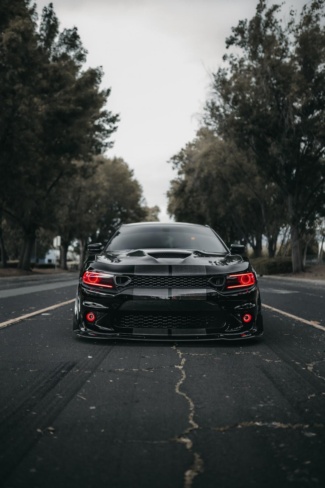 2015-2021 Dodge Charger Carbon Fiber Front Lip Spoiler by Black Ops Auto Works