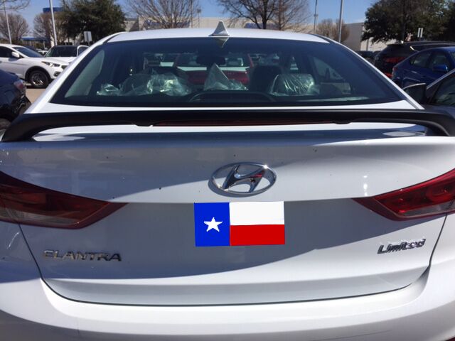 2017 Hyundai Elantra Custom 2-Post Spoiler Wing - FG-628