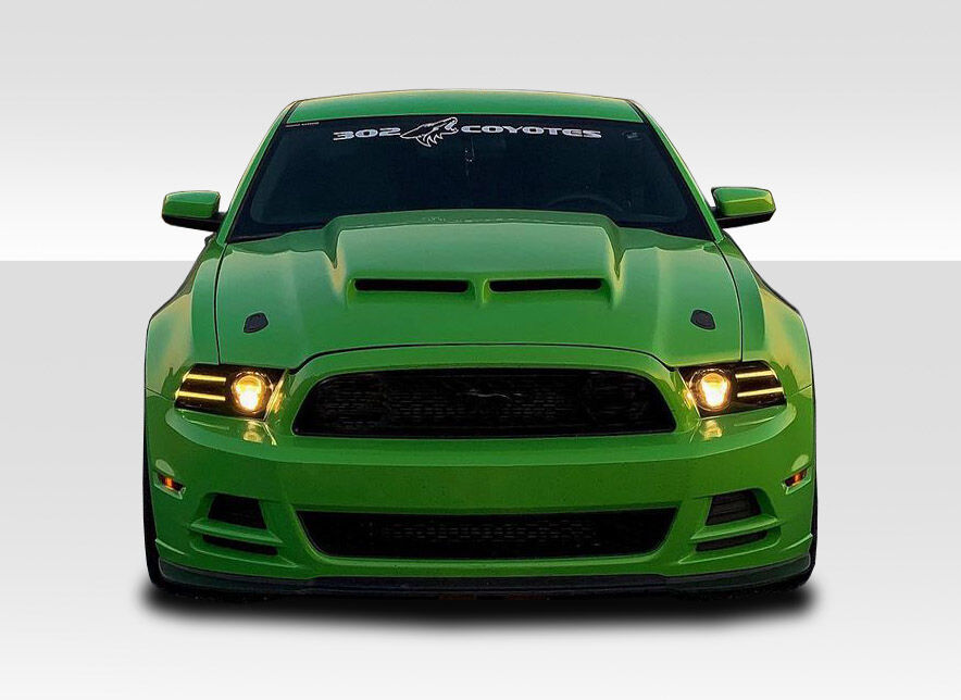 2013-2014 Ford Mustang / 2010-2014 Mustang GT500 Duraflex CV-X Version 2 Hood -