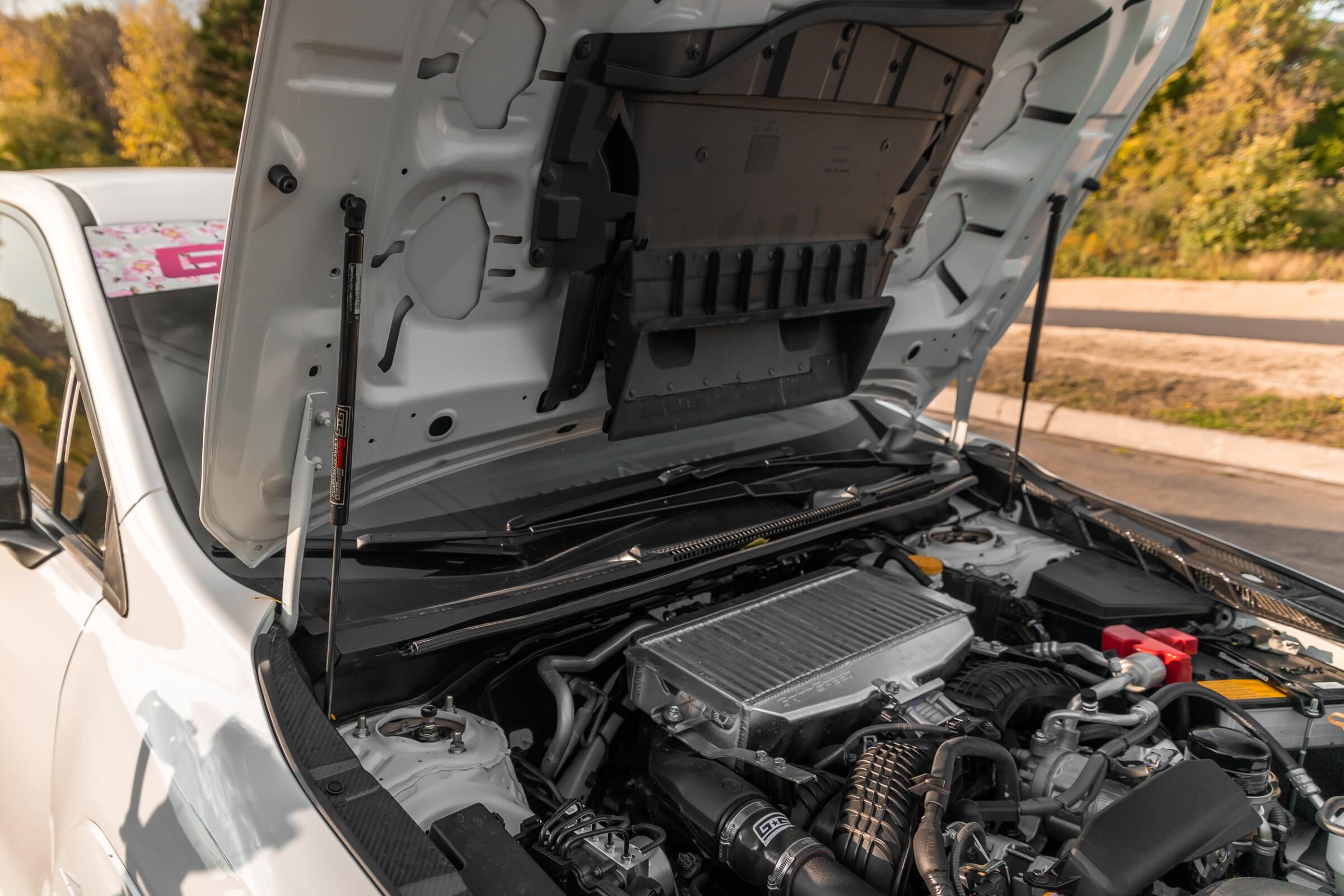2015-2024 Subaru WRX Hood Struts High Lift 15+ by GrimmSpeed