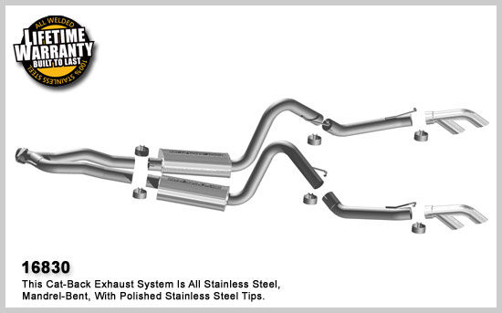 1975-1979 Pontiac Firebird MagnaFlow Cat Back Exhaust System