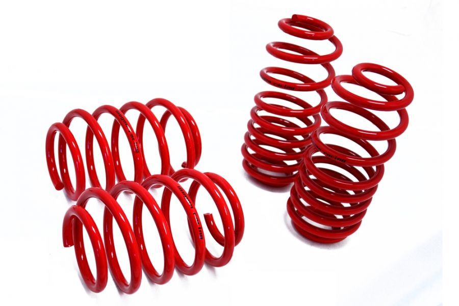Lowering Springs - Euro-Version for Audi TT 08-14 by Megan Racing - MR-LS-AT07