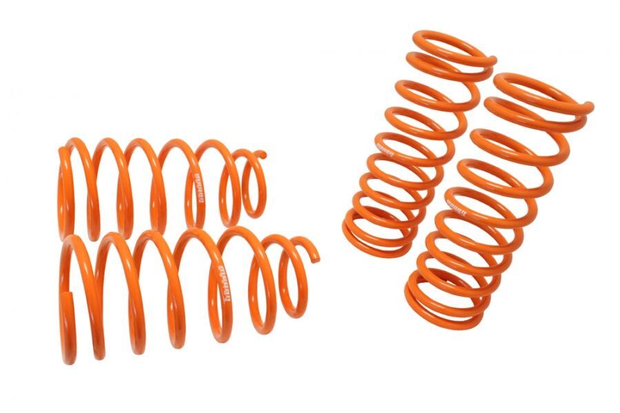 Lowering Springs for Kia Rio 00-05 by Megan Racing - MR-LS-KR005