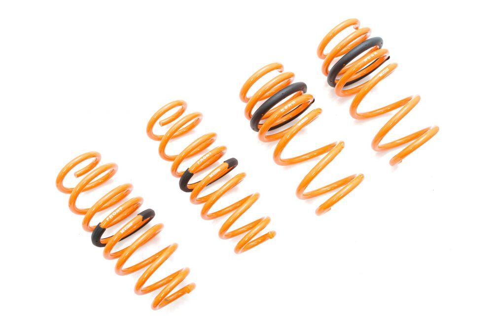 Tesla Model 3 AWD 17+ (EXC RWD) Lowering Springs by Megan Racing - MR-LS-TSL317X