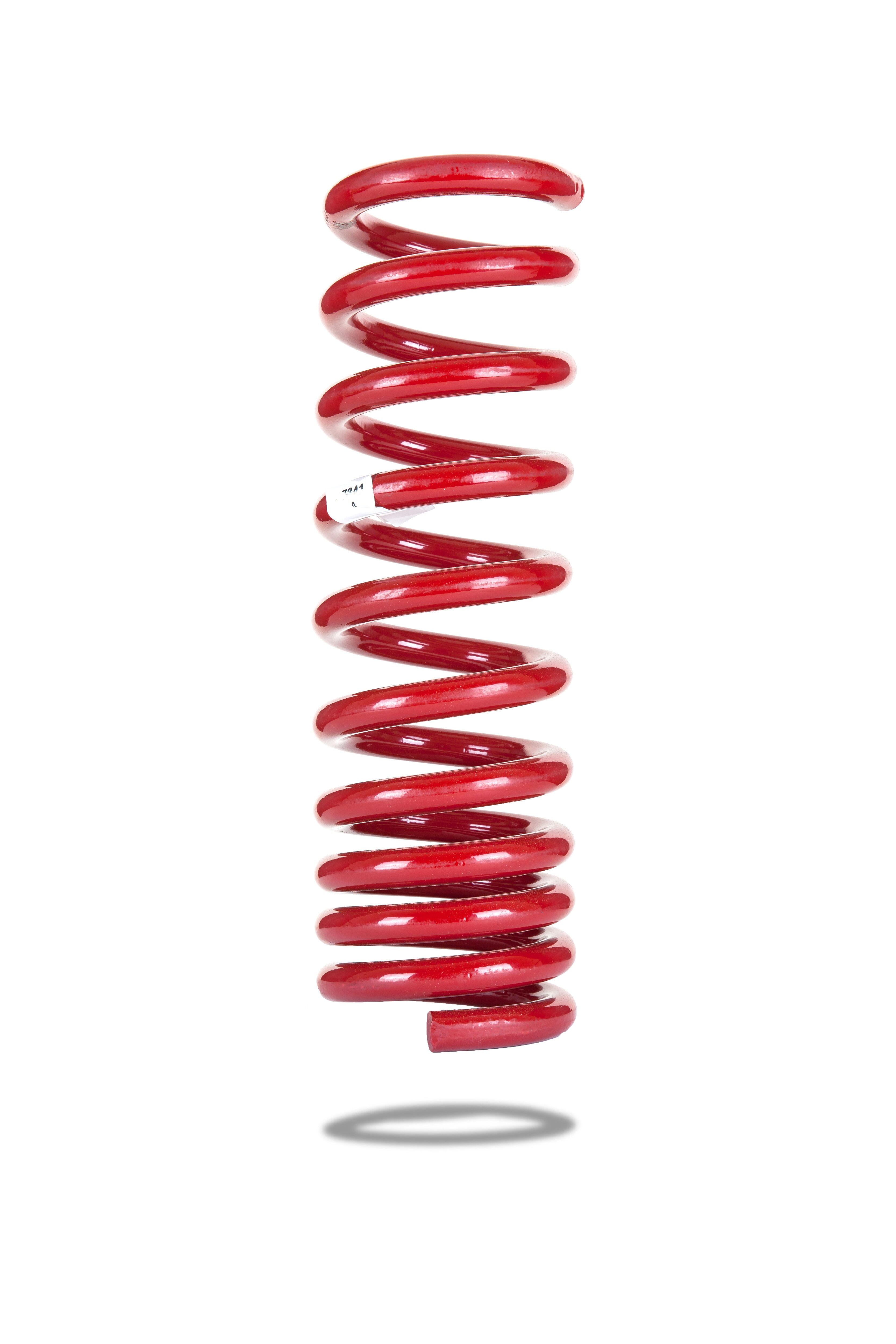2013-2014 Chrysler 300 C Luxury Pedders Coil Spring Rear 2PC - PED-7841