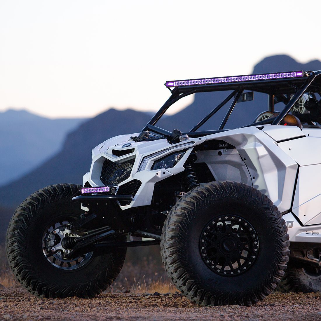 Radiance Plus SR-Series LED Light 8 Option RGBW Backlight 20 Inch Auxiliary LED Light by Rigid Industries