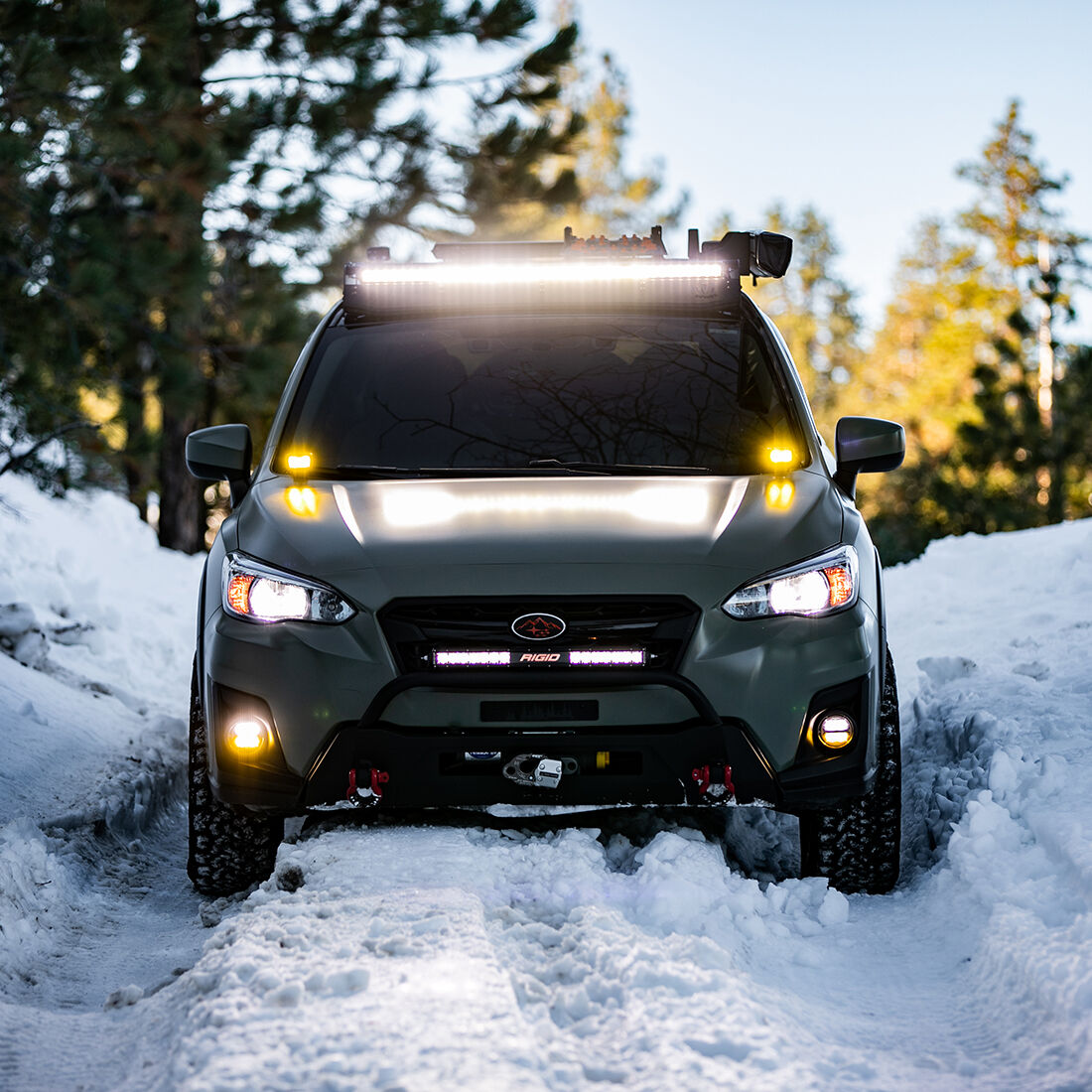 360-Series SAE Fog Yellow/White Pair LED Light Pods by Rigid Industries
