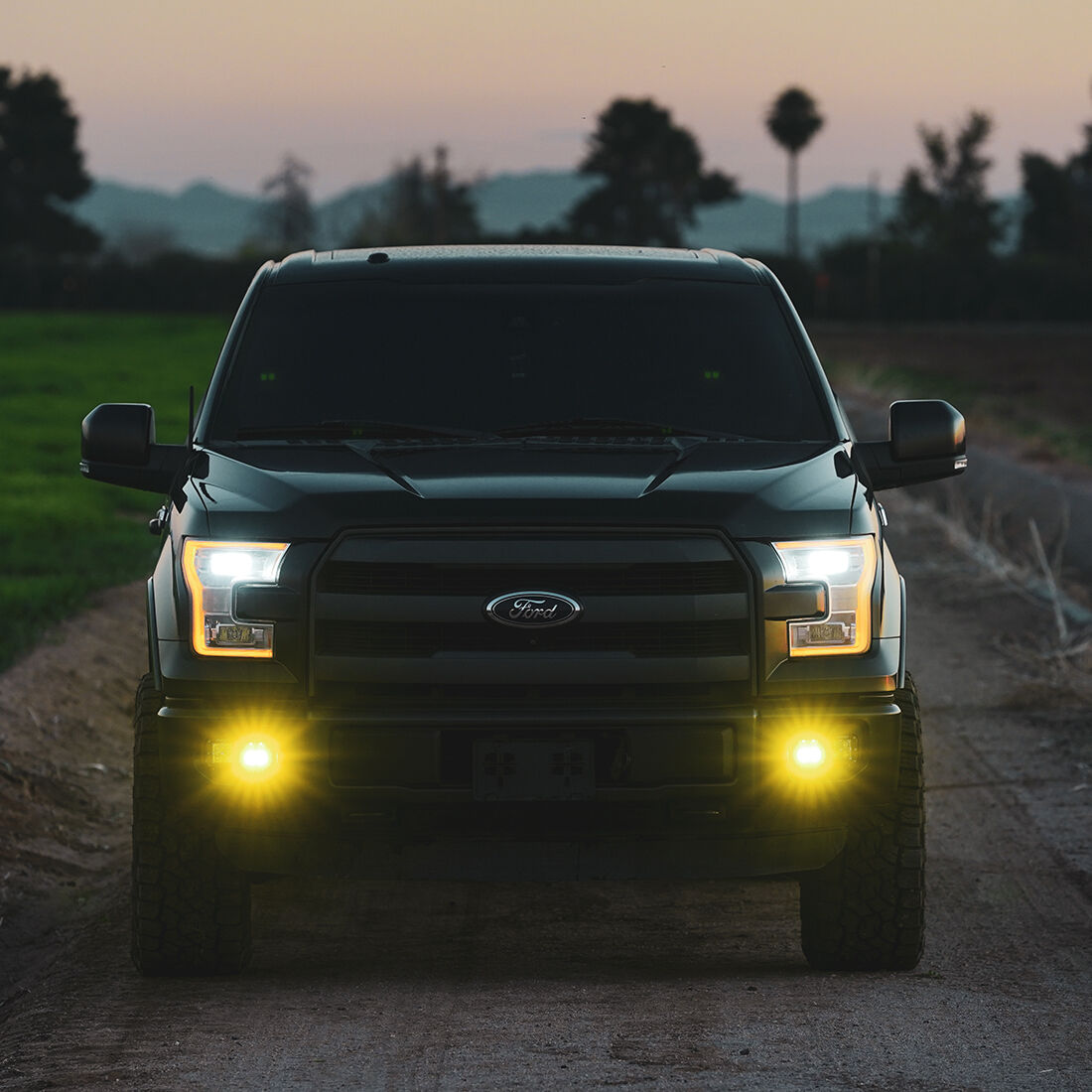 D-Series SAE Fog Yellow/White Pair LED Light Pods by Rigid Industries
