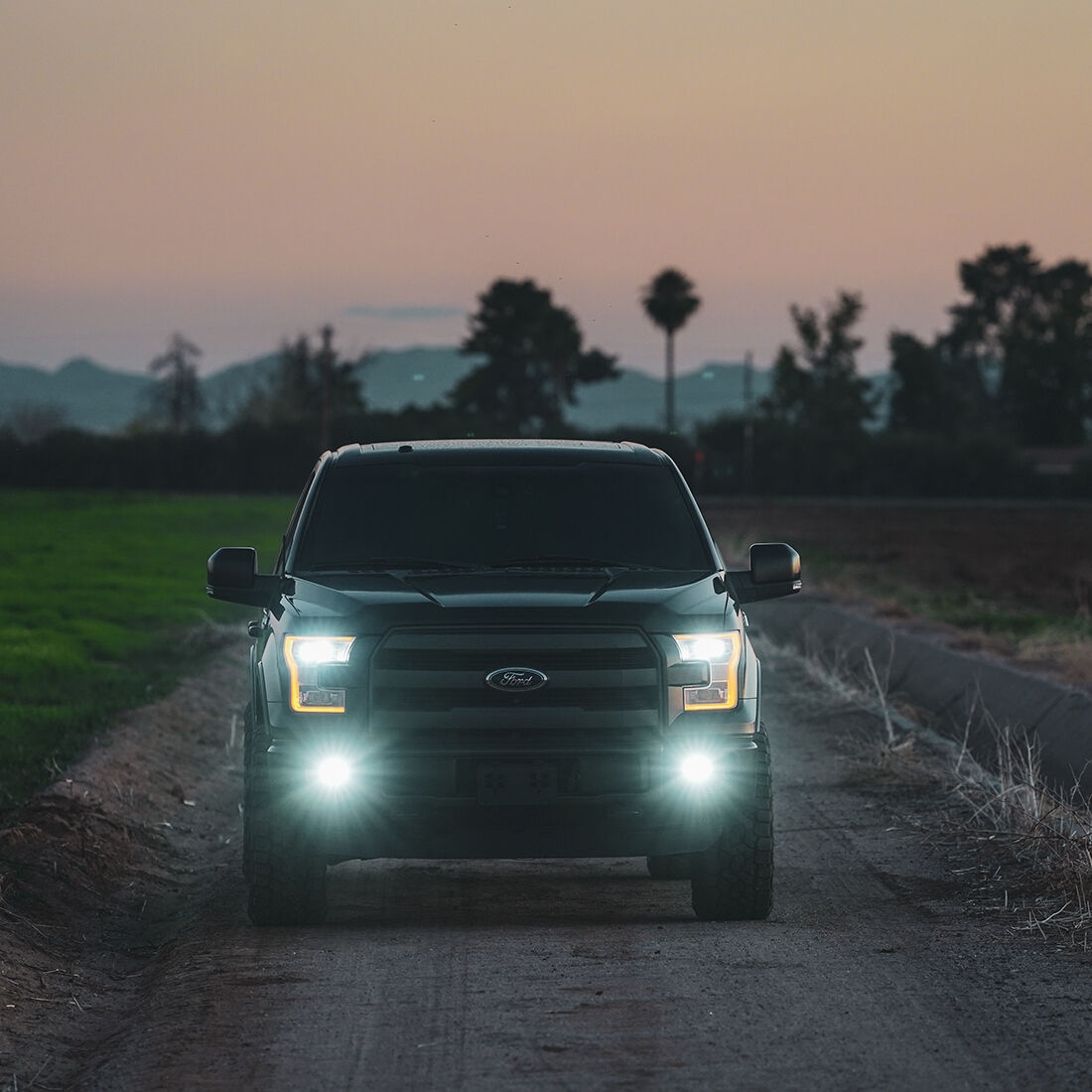 D-Series SAE Fog Yellow/White Pair LED Light Pods by Rigid Industries