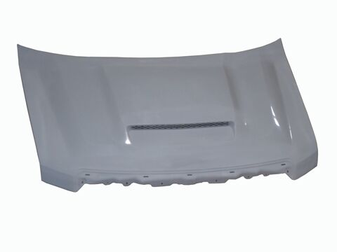 2009-2013 Ford F-150 RKS Fiberglass Ram Air Hood