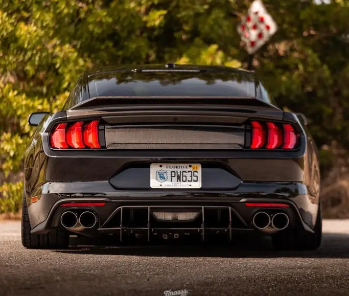 2018-2023 Ford Mustang GT Rear Diffuser (Will fit Mustang GT, GT Performance Package, GT California Special)