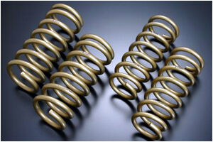 2005-2009 Ford Mustang Tein High Tech Lowering Springs - SKG12-BUB00