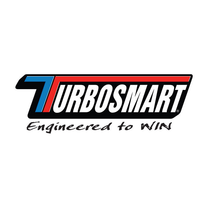 TurboSmart Fuel Filter Element Black