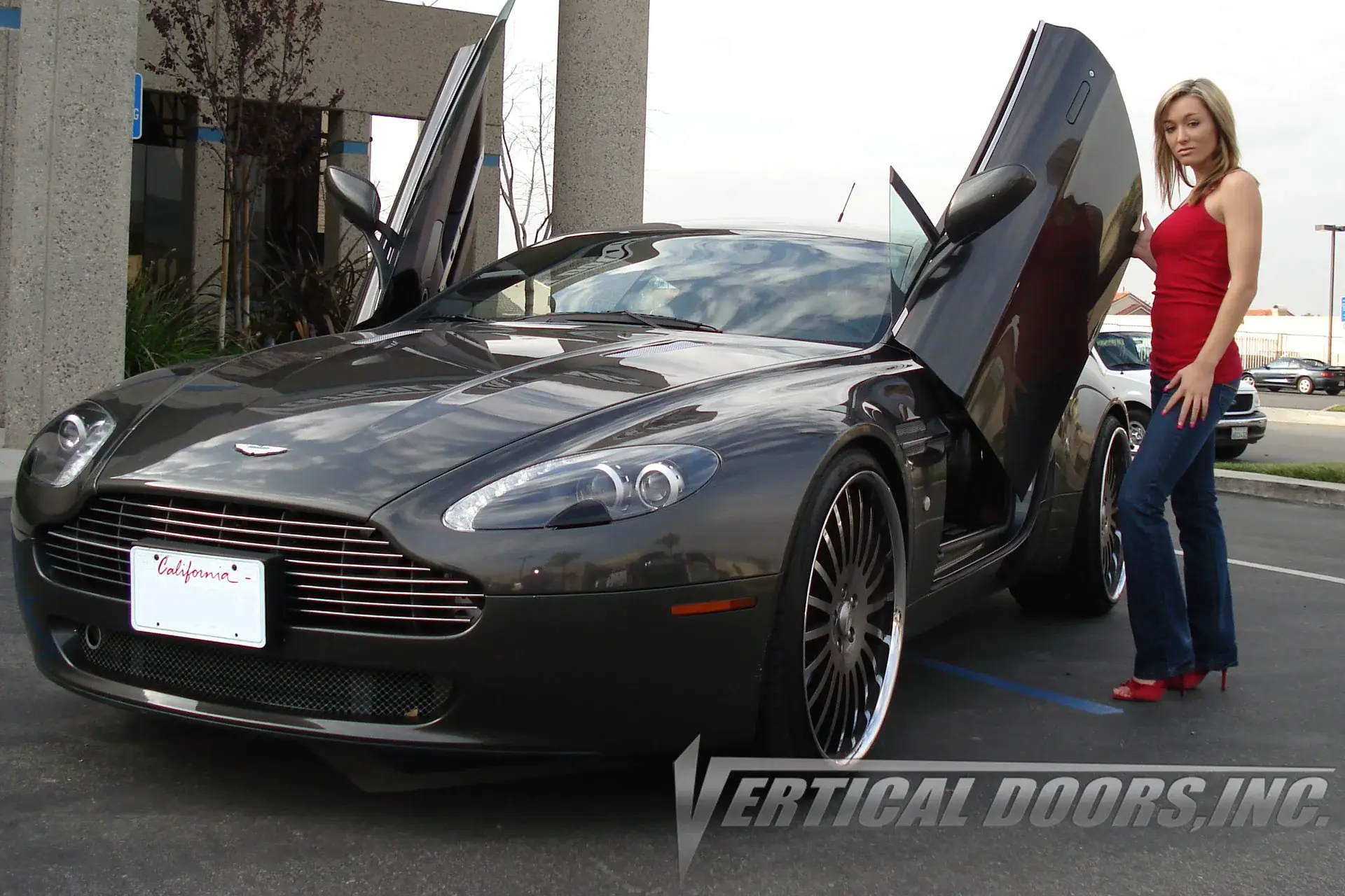2006-2018 Aston Martin Vantage Bolt-on Vertical Lambo Door Conversion Kit