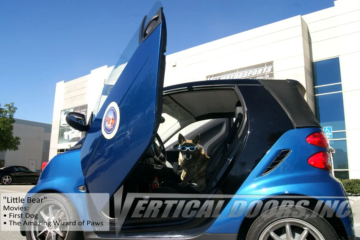 2008-2014 Smart ForTwo 451 2DR Bolt-on Vertical Lambo Door Conversion Kit